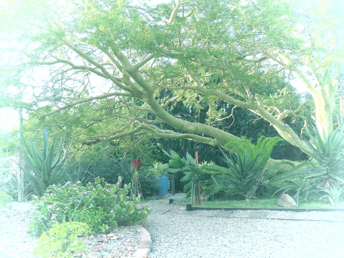 Villa Wiltshire Rondavel Port Alfred Exterior foto